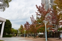 愛知學泉大學校園一隅圖片