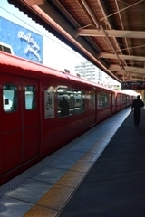 此為日本電車「普急列車」圖片